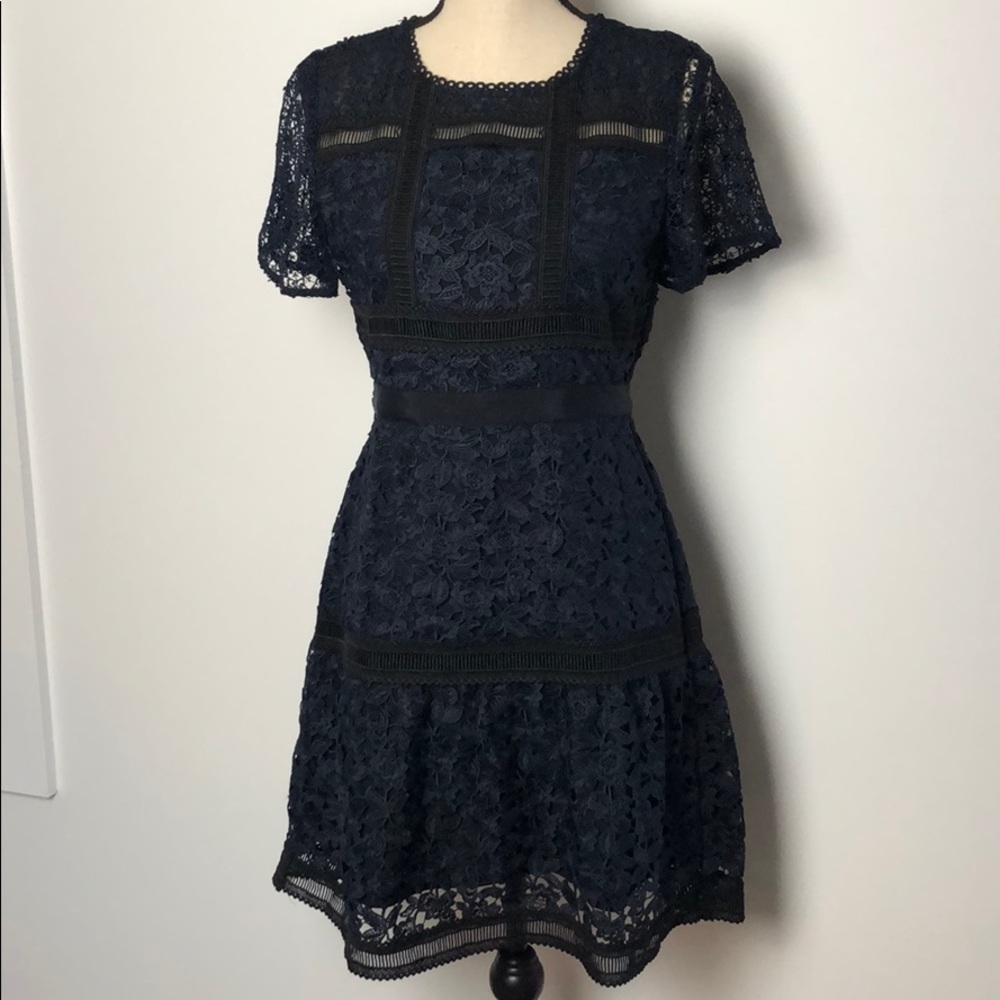 Stunning Lace Ann Taylor Dress - 2P